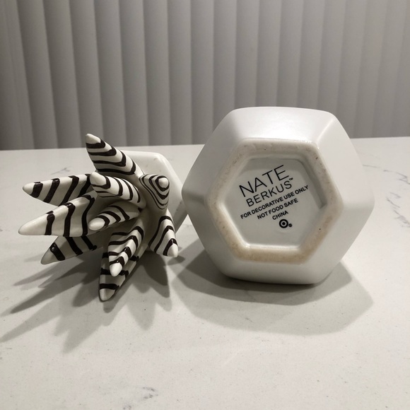 Succulent Ceramic Jar Nate Berkus - Picture 10 of 12